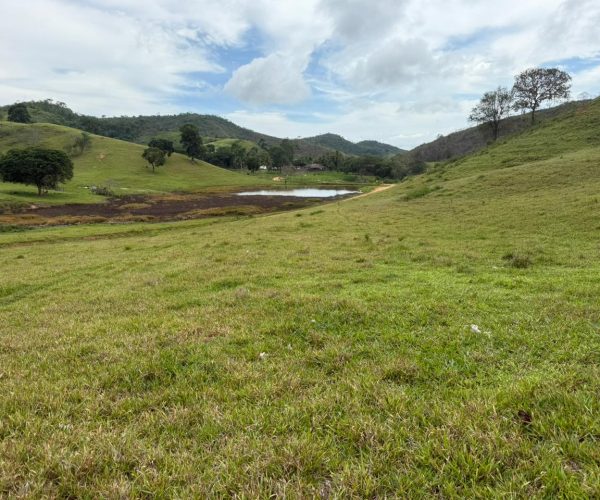 WhatsApp Image 2025-12-22 at 22.42.05