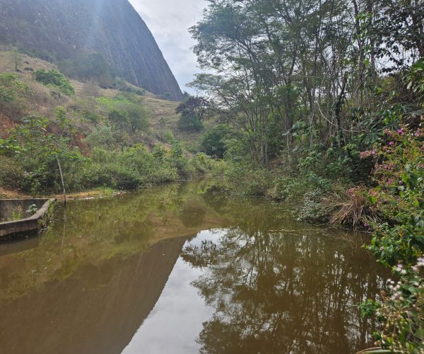 WhatsApp Image 2026-01-09 at 14.54.11 (1)