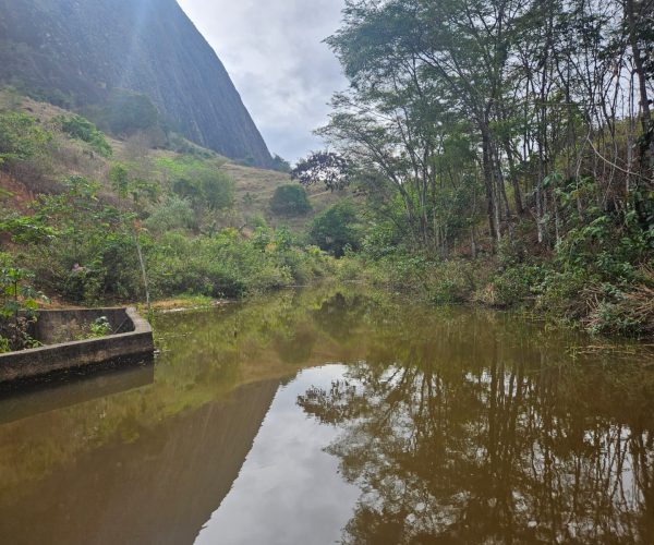 WhatsApp Image 2026-01-09 at 14.54.11