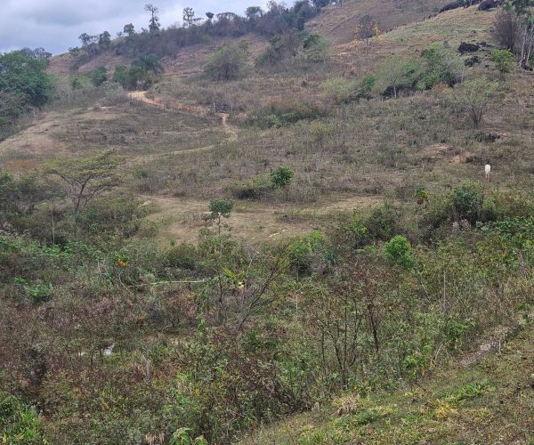 WhatsApp Image 2026-01-09 at 14.54.12