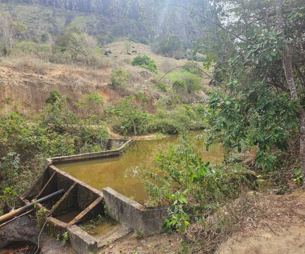 WhatsApp Image 2026-01-09 at 14.54.14 (1)