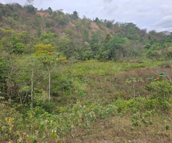 WhatsApp Image 2026-01-09 at 14.54.14 (2)