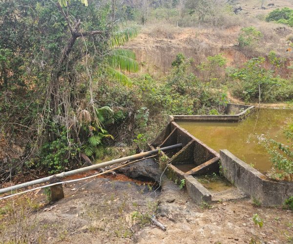 WhatsApp Image 2026-01-09 at 14.54.14