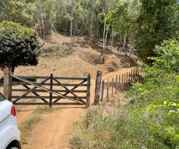 WhatsApp Image 2026-01-09 at 14.58.39 (1)