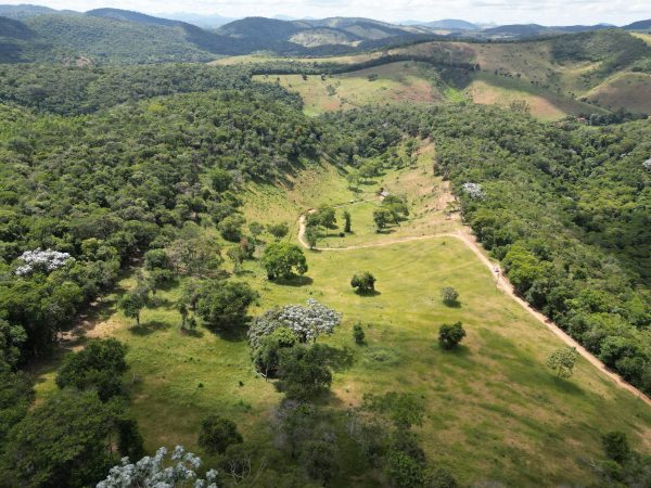 WhatsApp Image 2026-01-09 at 14.58.39