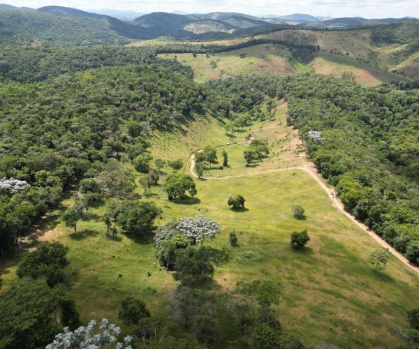 WhatsApp Image 2026-01-09 at 14.58.39