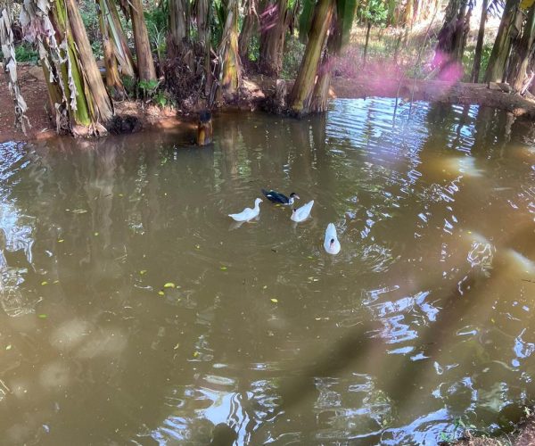 WhatsApp Image 2026-01-09 at 14.58.40 (2)