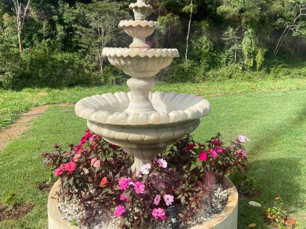 WhatsApp Image 2026-01-09 at 14.58.40 (3)