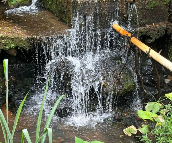 WhatsApp Image 2026-01-09 at 14.58.41 (4)