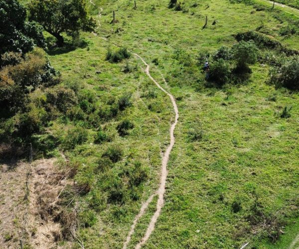 WhatsApp Image 2026-01-09 at 15.05.11