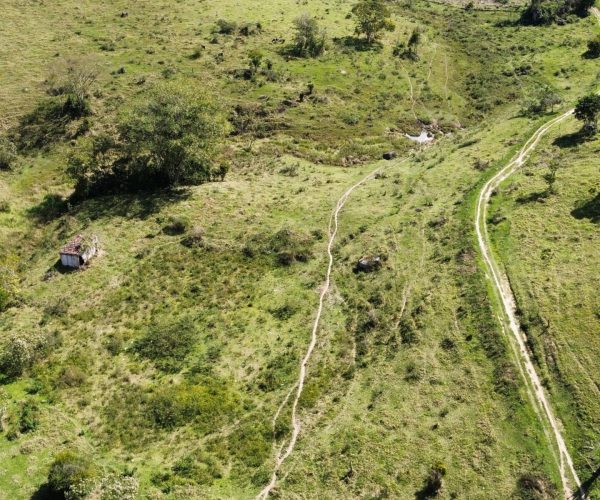 WhatsApp Image 2026-01-09 at 15.05.18