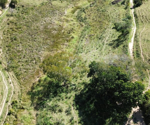 WhatsApp Image 2026-01-09 at 15.05.20