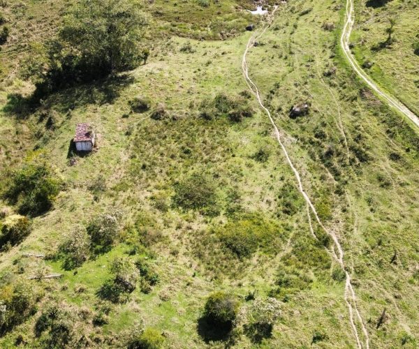 WhatsApp Image 2026-01-09 at 15.05.23