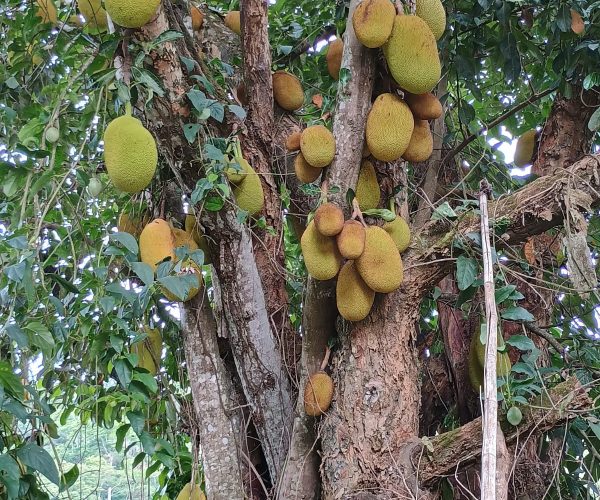 WhatsApp Image 2026-01-09 at 15.56.50