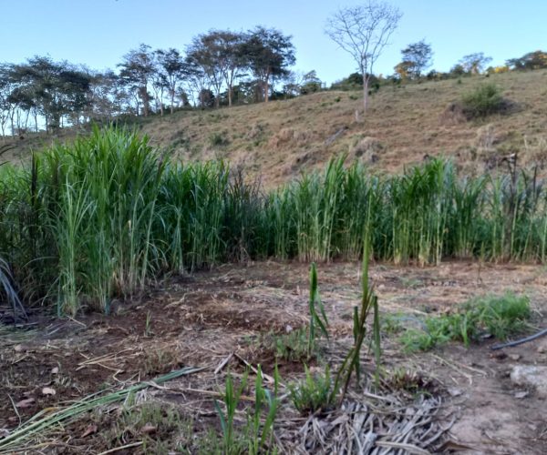 WhatsApp Image 2026-01-09 at 15.56.51 (2)