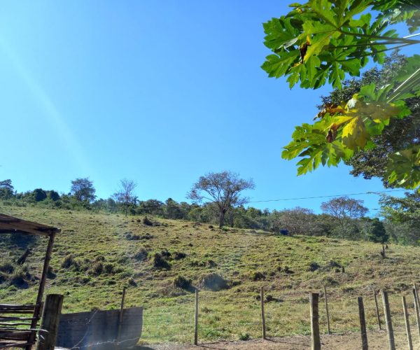 WhatsApp Image 2026-01-09 at 15.56.51