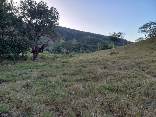 WhatsApp Image 2026-01-09 at 15.56.52 (1)