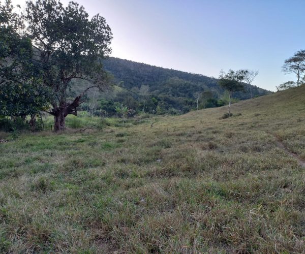 WhatsApp Image 2026-01-09 at 15.56.52 (1)