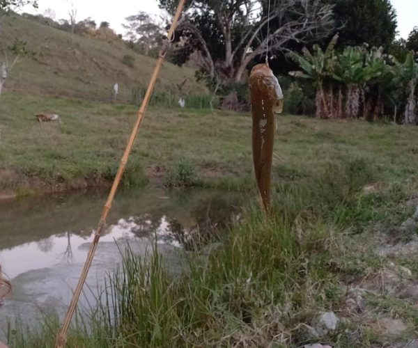 WhatsApp Image 2026-01-09 at 15.56.52 (2)