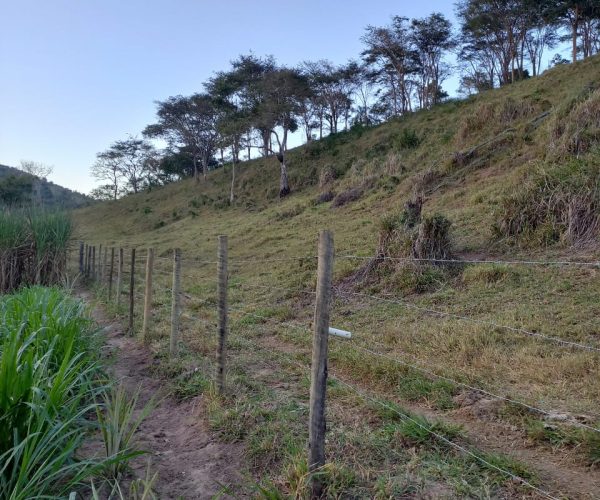 WhatsApp Image 2026-01-09 at 15.56.52