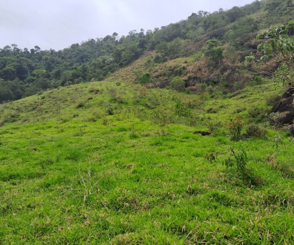 WhatsApp Image 2026-01-09 at 16.14.47 (4)