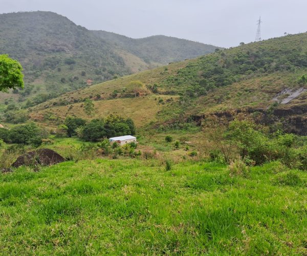 WhatsApp Image 2026-01-09 at 16.14.47 (5)