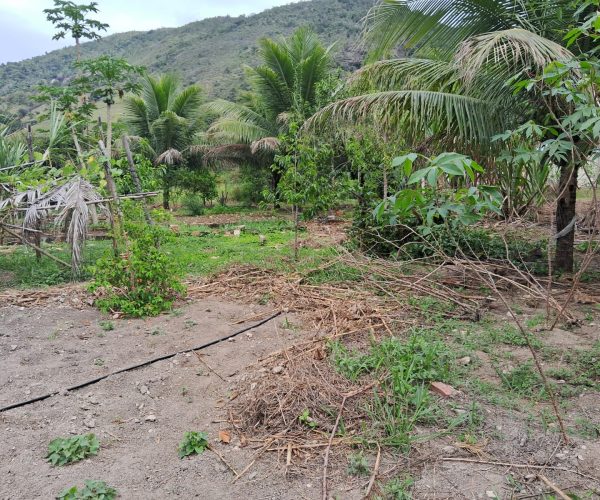 WhatsApp Image 2026-01-09 at 16.14.47