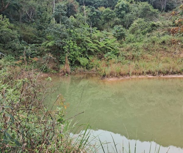 WhatsApp Image 2026-01-09 at 16.14.48 (1)