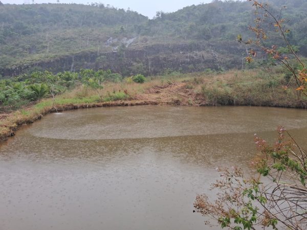 WhatsApp Image 2026-01-09 at 16.14.48