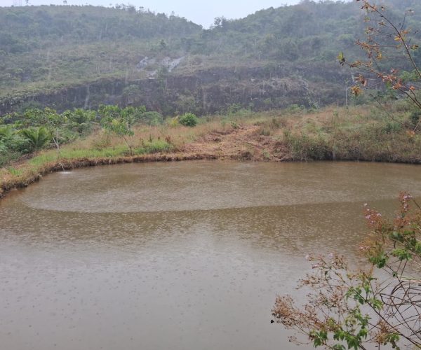 WhatsApp Image 2026-01-09 at 16.14.48