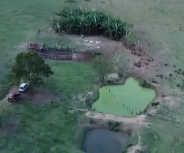 WhatsApp Image 2026-01-09 at 16.36.55 (1)