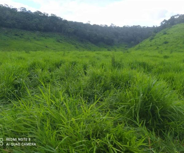 WhatsApp Image 2026-01-09 at 16.36.55