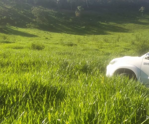 WhatsApp Image 2026-01-09 at 16.36.57 (1)