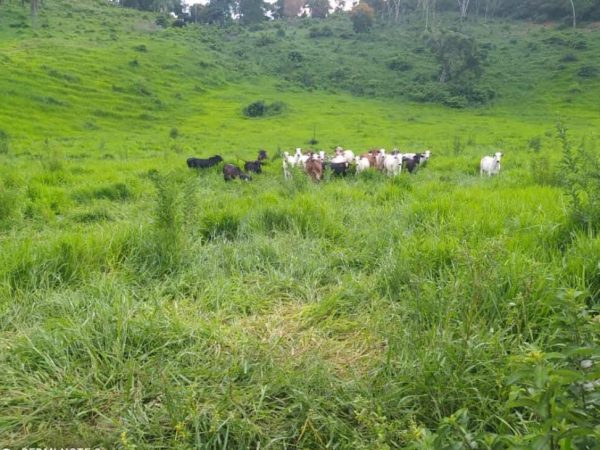 WhatsApp Image 2026-01-09 at 16.36.57 (2)