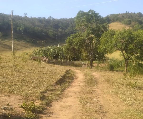 WhatsApp Image 2026-01-09 at 16.36.57