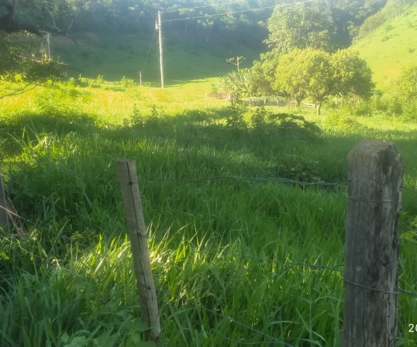 WhatsApp Image 2026-01-09 at 16.36.58