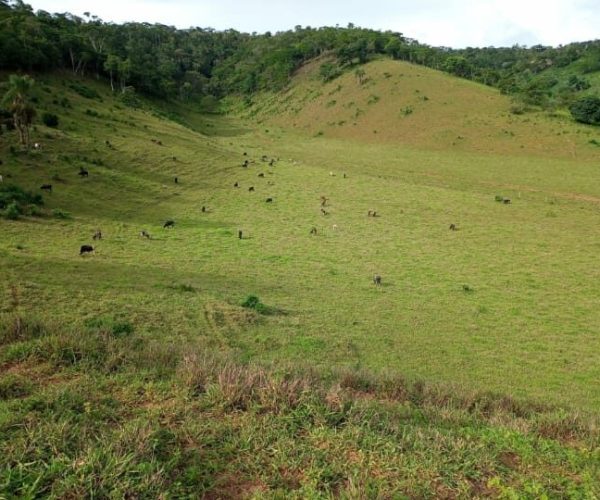 WhatsApp Image 2026-01-09 at 16.36.59