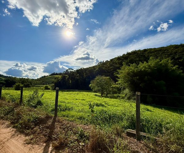 WhatsApp Image 2026-01-09 at 20.36.24