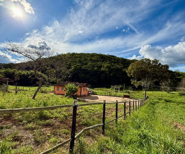 WhatsApp Image 2026-01-09 at 20.36.29 (4)