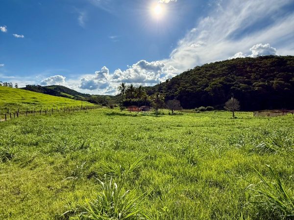 WhatsApp Image 2026-01-09 at 20.36.31 (1)