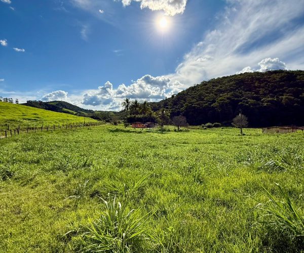 WhatsApp Image 2026-01-09 at 20.36.31 (1)