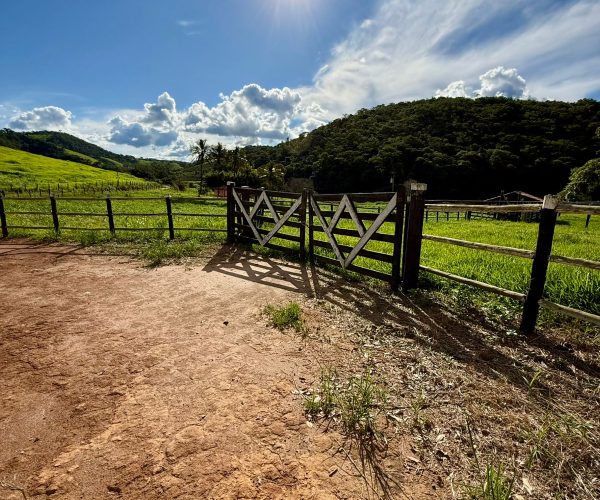 WhatsApp Image 2026-01-09 at 20.36.31 (10)