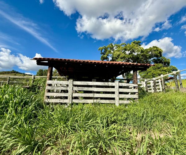 WhatsApp Image 2026-01-09 at 20.36.31 (7)