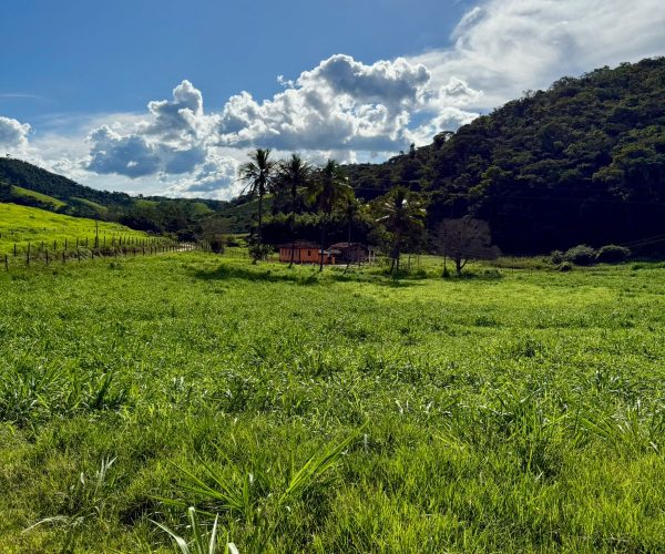 WhatsApp Image 2026-01-09 at 20.36.31 (9)