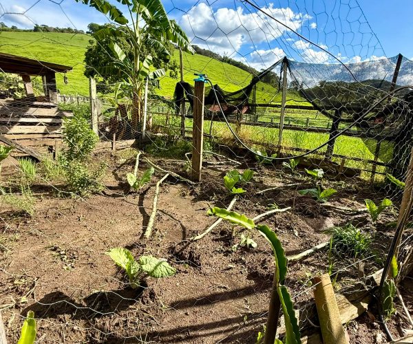 WhatsApp Image 2026-01-09 at 20.36.32 (1)