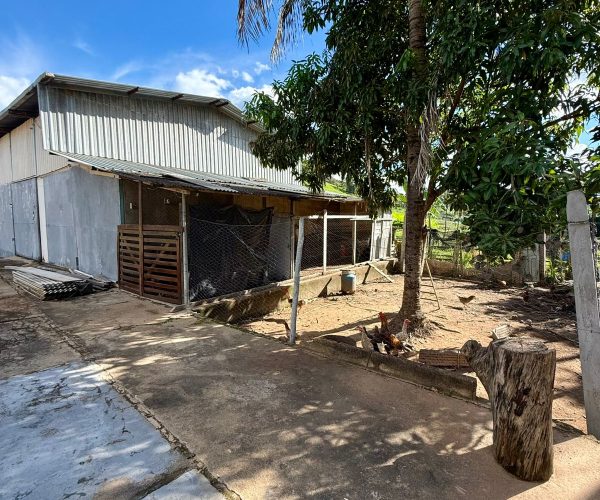 WhatsApp Image 2026-01-09 at 20.36.32 (6)