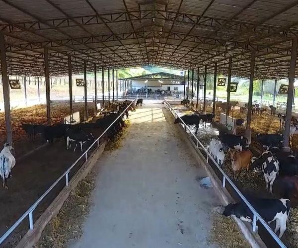 WhatsApp Image 2026-01-09 at 20.44.23 (1)