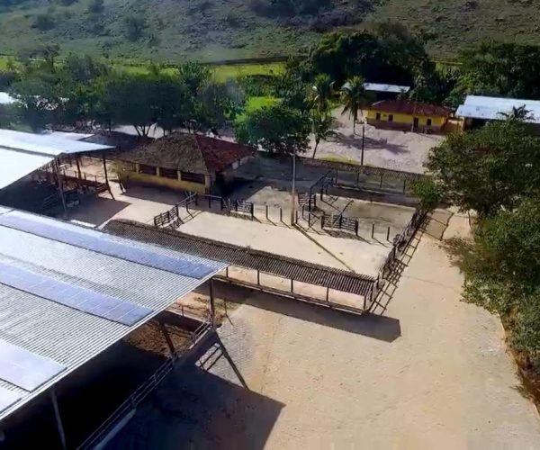 WhatsApp Image 2026-01-09 at 20.44.23 (3)