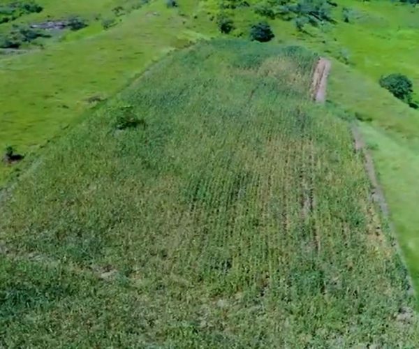 WhatsApp Image 2026-01-09 at 20.44.24 (1)