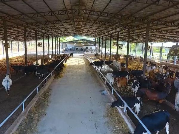 WhatsApp Image 2026-01-09 at 20.44.24